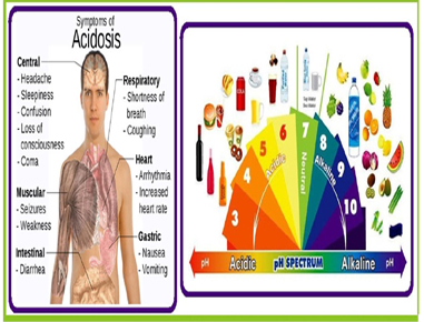 The body tries to naturally maintain the acid-alkaline balance of your blood. But when your body is overly acidic, your system has to work even harder to keep that balance. That can turn cause stress in other areas. When your body becomes too acidic, it can interfere with the activity of all the cells in your body. The average modern diet consisting of fatty meats, cheeses and butter contribute to an overly acidic condition. Smoking, coffee, soft drinks, processed sugar and alcohol also play key roles.l have your head that expression, “too much of a good thing can kill you?” Enjoying too much of these foods will deposit acid waste into our bodies. Diseases thrive where acid levels are high. Alkaline water helps by neutralizing the acid levels of the body. Although, it works best as a preventive measure, those who already have an illness or disease can still drink alkaline water to help speed up their recovery process. 